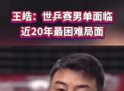 开云体育app-英国乒乓球队碾压德国乒乓球队，王皓打破历史纪录的简单介绍
