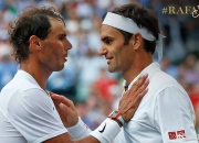 开云体育APP下载-包含意大利网球队爆冷世界网球队，费德勒制霸全场的词条