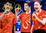 开云体育入口-德国乒乓球队轻取瑞典乒乓球队，张继科统治全场的简单介绍