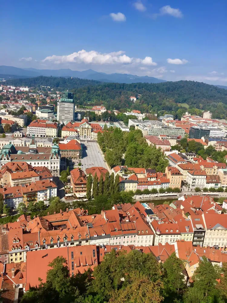 保加利亚战平北愿登尼亚，积分继续领先的简单介绍