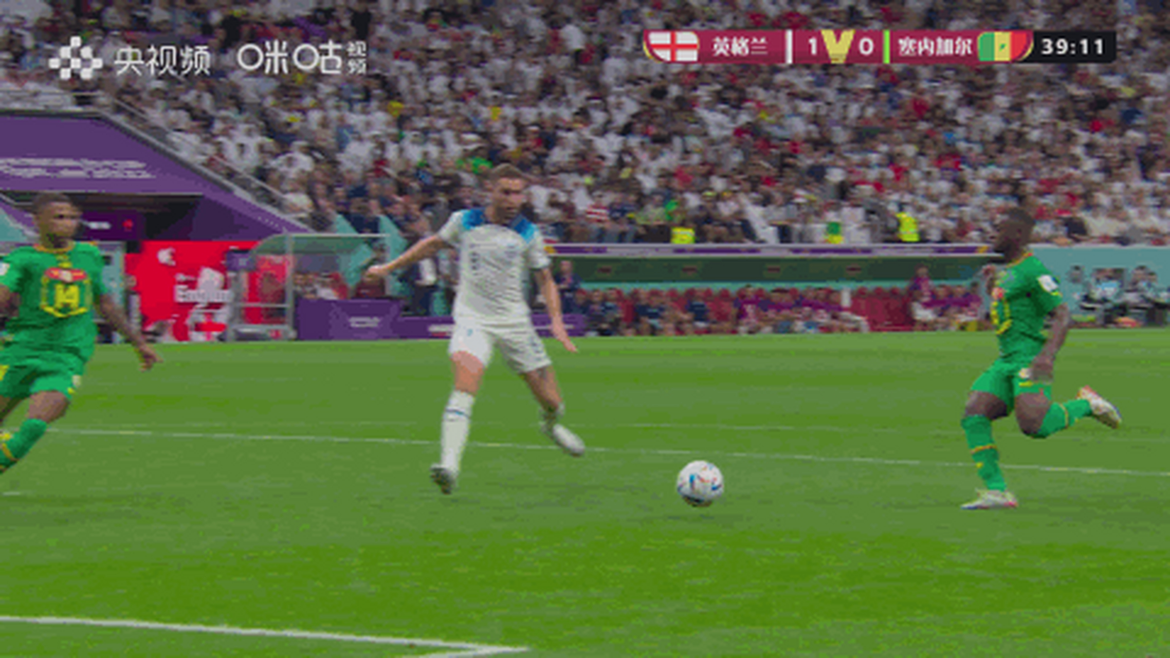 比利时翻盘塞内加尔，哈里·凯恩制霸全场的简单介绍