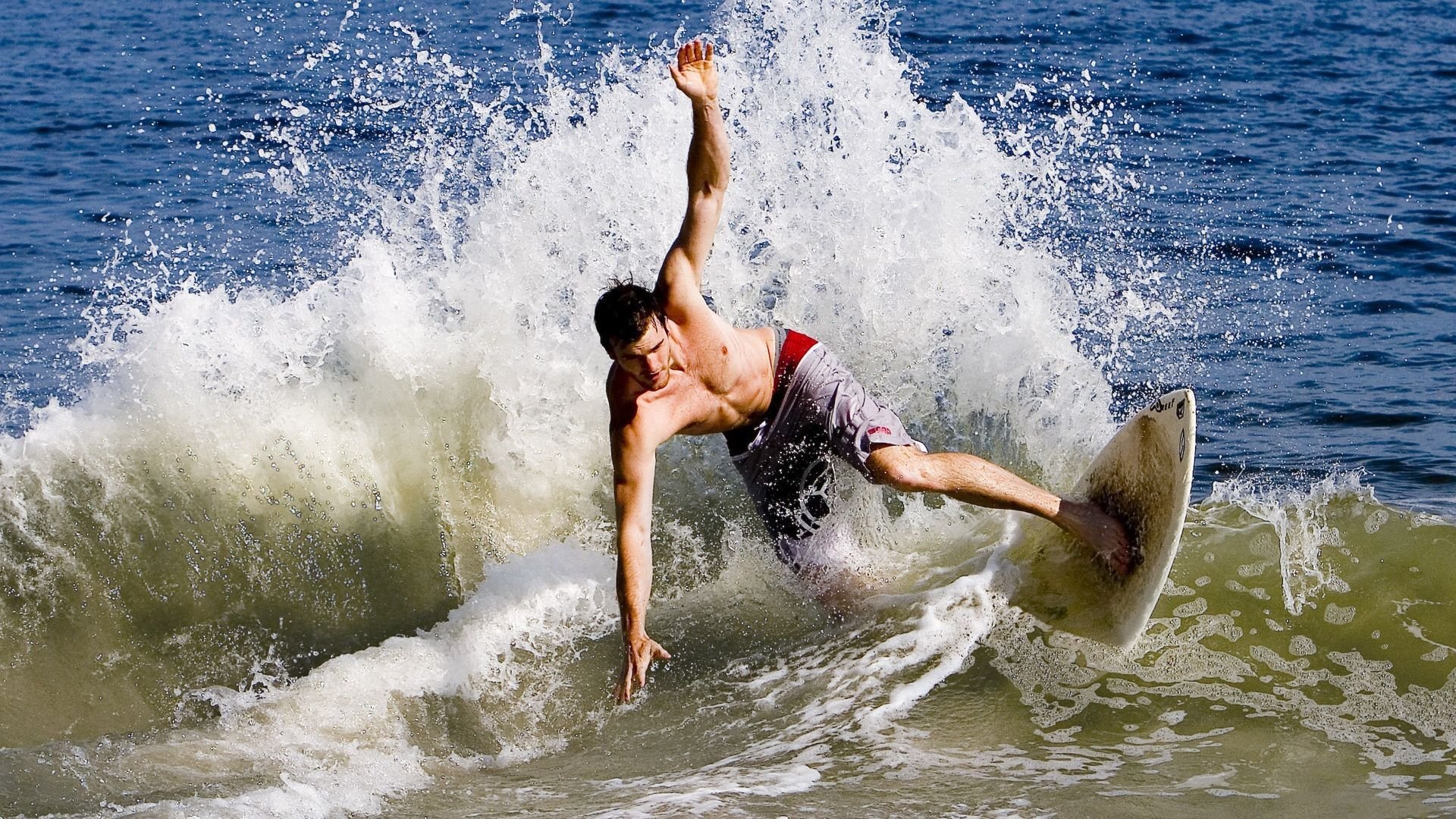 奥运周期关键战,黄蜂战术风暴,如何粉碎辽宁王朝?