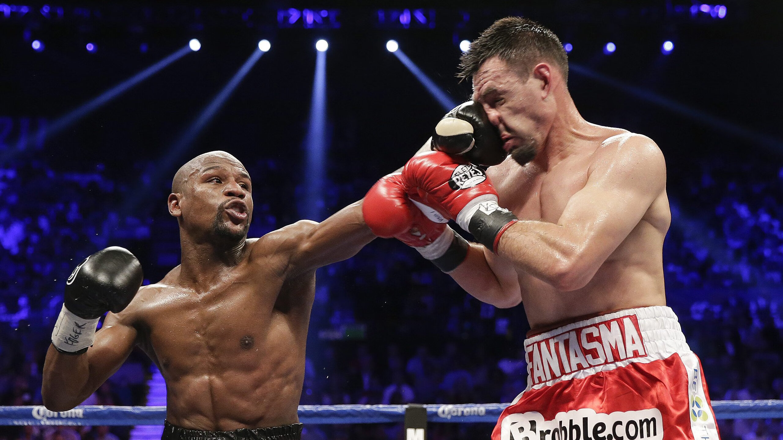 兹维列夫领衔年终总决赛横扫拉沃尔杯，一场定义团队与个性的终极对决